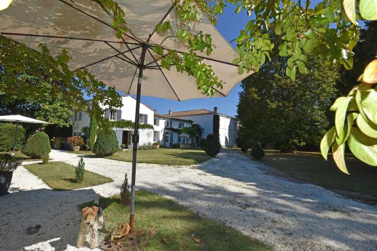 Cabinet Briand | Agent immobilier Royan, agence spécialiste des biens immobiliers de prestige sur la côte charentaise