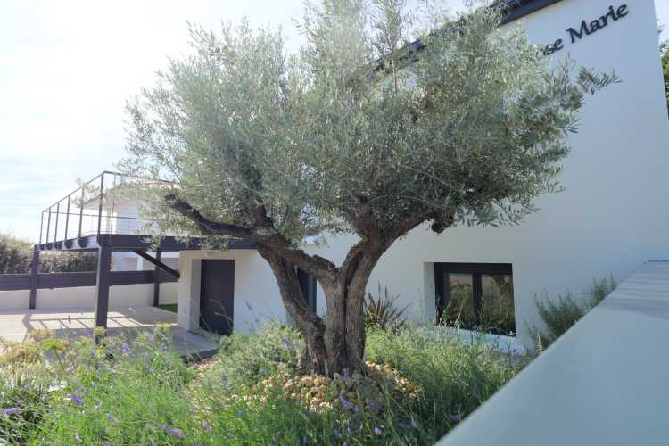 Cabinet Briand | Agent immobilier Royan, agence spécialiste des biens immobiliers de prestige sur la côte charentaise